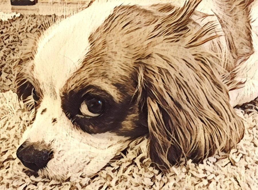 Photo 15-01-2017, 20 58 30.jpg