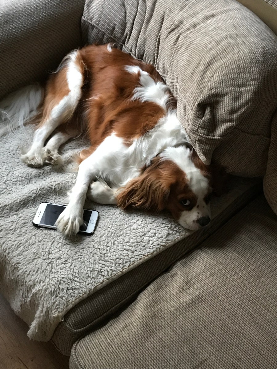 D3B0AEBB-7FDE-4E3C-9274-4AD950D207FE