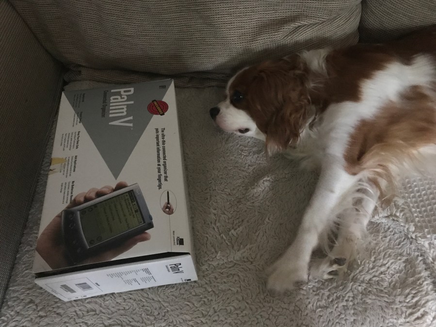 Photo 02-05-2017, 18 26 55