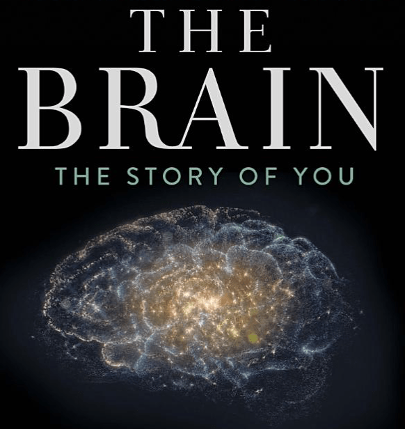 Screen Shot 2017-05-30 at 20.02.10.png