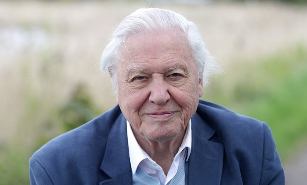 David_Attenborough_reveals_how_Wimbledon_helped_Britain_beat_the_Germans_to_colour_TV