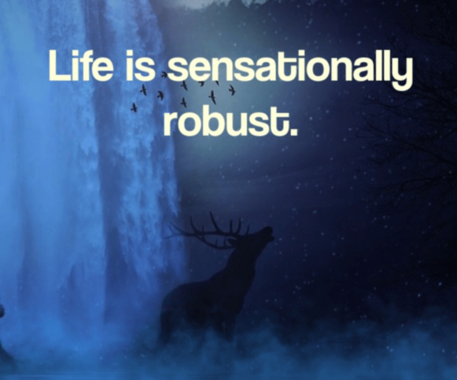 Screen Shot 2017-07-06 at 20.51.10.png