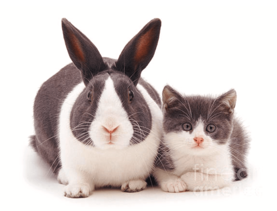 Screen Shot 2017-07-28 at 19.14.07.png