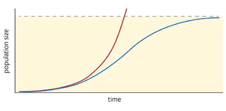 7234_44d47238d7d3e17aa176019eafac82af